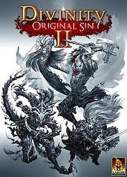 Divinity II: Developer's Cut