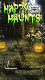 Hidden Haunts: Gothic Masquerade