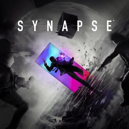 A Tale of Synapse: The Chaos Theories