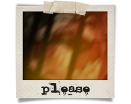 Please (2017)