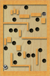 Chicken Labyrinth Puzzles