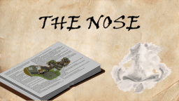 Nose Invaders