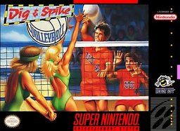 Dig _ Spike Volleyball