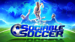 Sociable Soccer 24