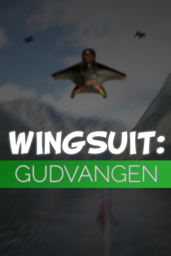Wingsuit Dream
