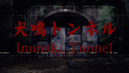 Tunnel Hunt