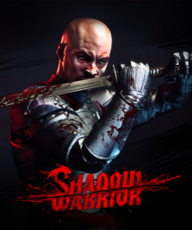 Shadow Warrior: Twin Dragon