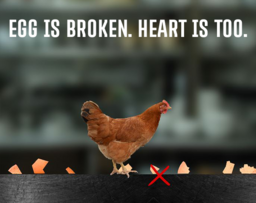 egg is broken. heart is too.