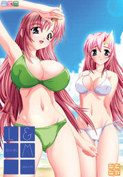 D.M.L.C. Death Match Love Comedy