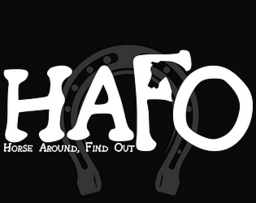 Find!