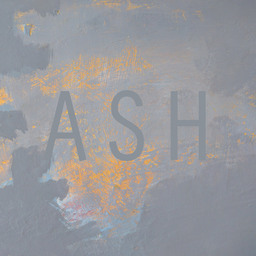 Dark Dimensions: City of Ash
