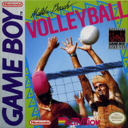 Malibu Bikini Volleyball