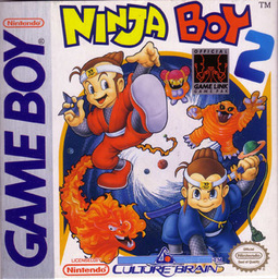 Ninja Boy 2