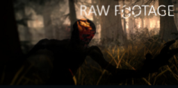 RAW FOOTAGE