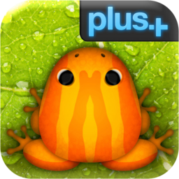 Pocket Frogs