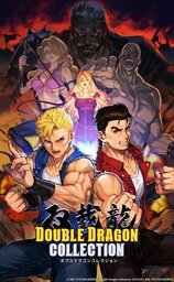 Double Dragon Collection