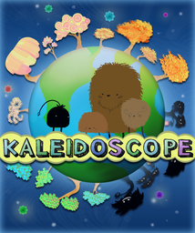 Kaleidoscope Camera