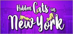 Hidden Clues: New York