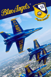 Blue Angels: Aerobatic Flight Simulator