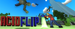 Flip