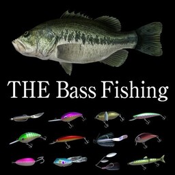 Sea Bass Fishing