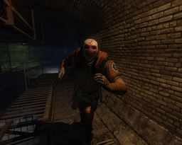 THE LAST HUNT