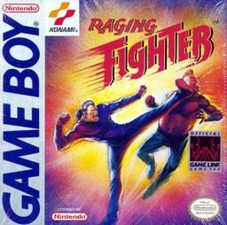 Raging Fighter