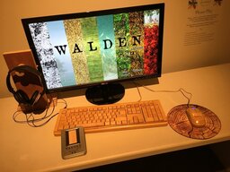 Walden, a game
