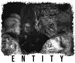 Space Entity